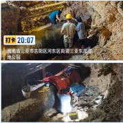  守护每一滴清水 保障千家万户用